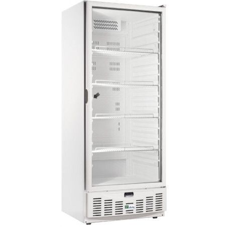 Armoire froide positive 540L Ext Blanc 1 porte vitrée Groupe Logé