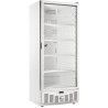 Armoire froide positive 540L Ext Blanc 1 porte vitrée Groupe Logé