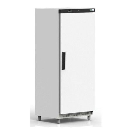 Armoire froide négative 555L Ext blanc 1 Porte pleine Groupe Logé