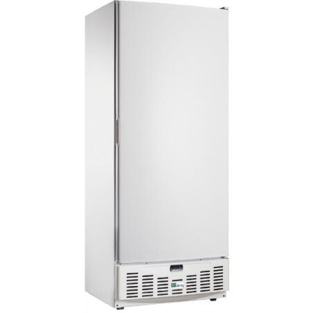 Armoire froide négative 520L Ext blanc 1 Porte pleine Groupe Logé
