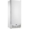 Armoire froide négative 520L Ext blanc 1 Porte pleine Groupe Logé