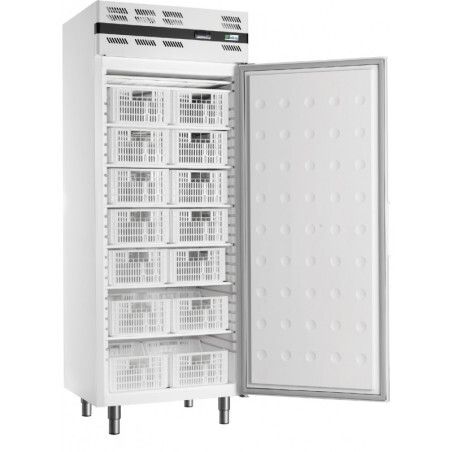 Armoire froide négative 535L Ext blanc 1 Porte pleine Groupe Logé