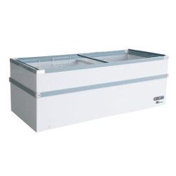 Congélateur négatif -18 -22°C Volume 920L Porte coulissante vitrée P594 Watts