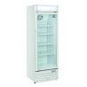 Armoire froide positive 350L Ext Blanc 1 porte vitrée Groupe Logé R600A