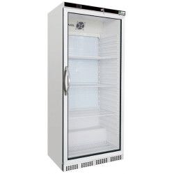 Armoire froide négative 555L Ext Blanc 1 porte vitrée Groupe Logé