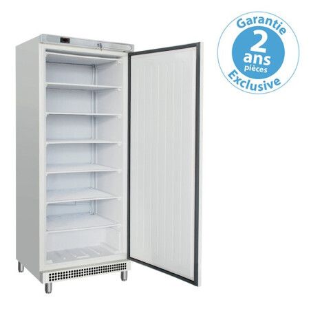 Armoire froide négative 600 L Ext Inox 1 porte pleine Groupe Logé