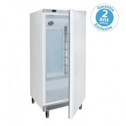 Armoire froide positive 520L Ext Blanc 1 porte pleine Groupe LogéVentilé