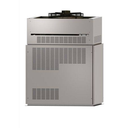 Machine à écailles plates Production 2200 kg Groupe air Sans réserve