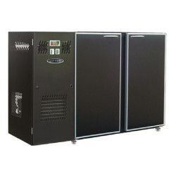 Arrière-bar Skinplate Série CLASSIC Groupe Logé 2 petites Portes pleines 223L